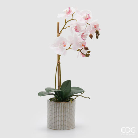 edg enzo de gasperi edg enzo de gasperi orchidea phalaenopsis x2 con foglie e vaso h 51 cm pianta artificiale rosa chiaro ean 8059824513755