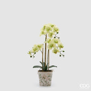 EDG Enzo De Gasperi Phalaenopsis Orchid x3 with Bud and Pot Artificial Plant H 65 Cm Green