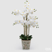 EDG Enzo De Gasperi Phalaenopsis Orchid x8 with Bud and Pot Artificial Plant H 90 Cm White