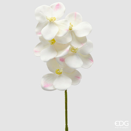edg enzo de gasperi edg enzo de gasperi orchidea vanda ramo h 65 cm pianta artificiale avorio ean 8059824615312