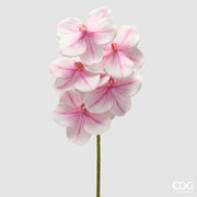 EDG Enzo De Gasperi Vanda Orchid Branch H 65 Cm Artificial Plant White Pink