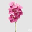 edg enzo de gasperi edg enzo de gasperi orchidea vanda ramo h 65 cm pianta artificiale fuchsia ean 8059824615428