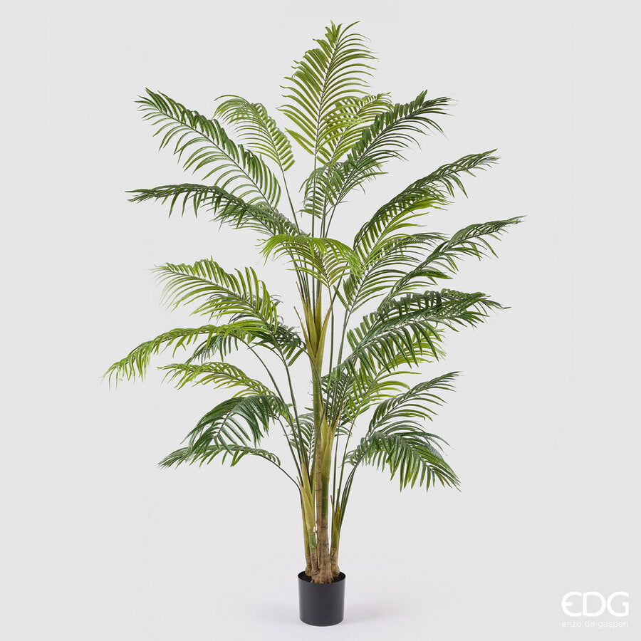 edg enzo de gasperi edg enzo de gasperi palma areca vogue con vaso pianta artificiale h 250 cm verde ean 8059824607386