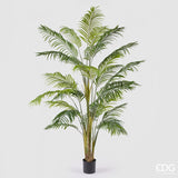 edg enzo de gasperi edg enzo de gasperi palma areca vogue con vaso pianta artificiale h 250 cm verde ean 8059824607386