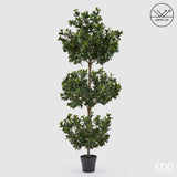 edg enzo de gasperi edg enzo de gasperi pianta artificiale agrifoglio h 188 cm con vaso anti uv verde per interno ed esterno ean 8059824655318