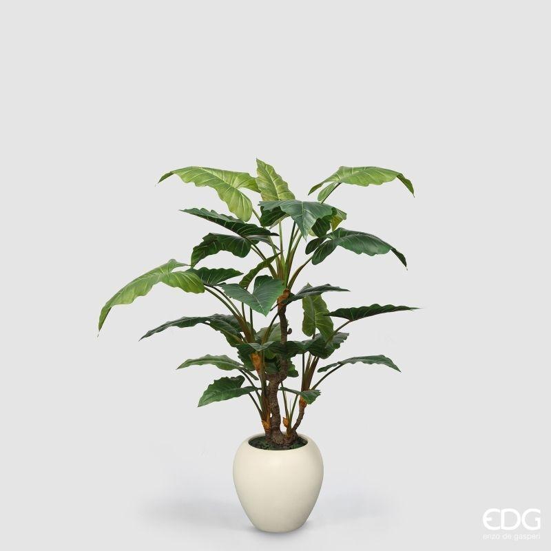 edg enzo de gasperi edg enzo de gasperi pianta artificiale alocasia vogue con vaso h 180 cm pianta decorativa realistica design moderno ean 8059824655172