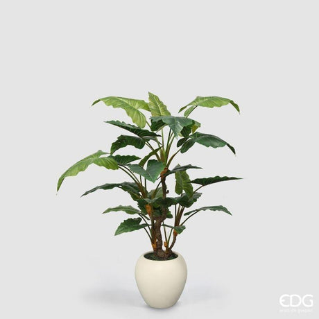 edg enzo de gasperi edg enzo de gasperi pianta artificiale alocasia vogue con vaso h 180 cm pianta decorativa realistica design moderno ean 8059824655172