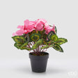 edg enzo de gasperi edg enzo de gasperi pianta artificiale ciclamino con foglie e vaso h 32 cm pink pianta decorativa realistica design moderno ean 8059824518002