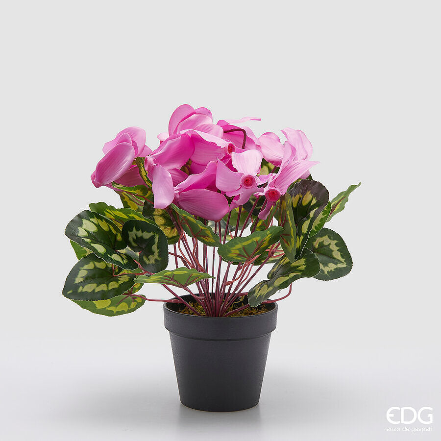 edg enzo de gasperi edg enzo de gasperi pianta artificiale ciclamino con foglie e vaso h 32 cm rosa scuro pianta decorativa realistica design moderno ean 8059824518026