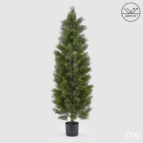 edg enzo de gasperi edg enzo de gasperi pianta artificiale cipresso h 180 cm verde con vaso anti uv per interno ed esterno ean 8059824655394