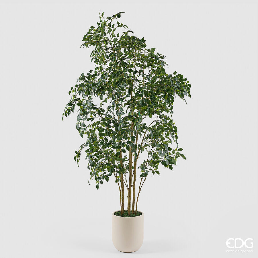 edg enzo de gasperi edg enzo de gasperi pianta artificiale ficus beniamino vogue con vaso h 240 cm pianta decorativa realistica design moderno ean 8059824655042