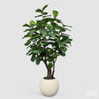 edg enzo de gasperi edg enzo de gasperi pianta artificiale ficus lyrata vogue con vaso h240 cm pianta decorativa realistica design moderno ean 8059824655141