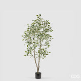 edg enzo de gasperi edg enzo de gasperi pianta artificiale ficus vogue con vaso h 150 cm pianta decorativa realistica design moderno ean 8059824655264