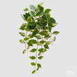 edg enzo de gasperi edg enzo de gasperi potus cespuglio h 60 cm pianta artificiale verde rosa ean 8059824487698