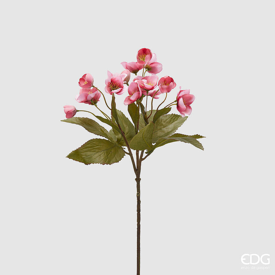 edg enzo de gasperi edg enzo de gasperi ramo elleboro h 57 cm rosa pesca ean 8059824362742