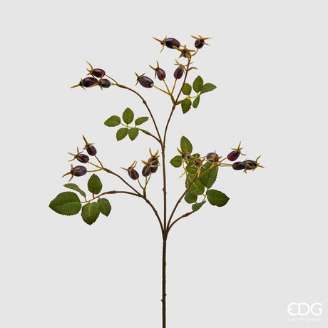 edg enzo de gasperi edg enzo de gasperi rosa canina glory ramo h 68 cm con bacche burgundy ean 8059824146687