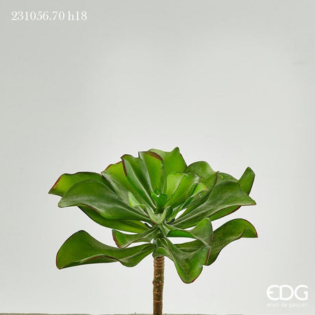 edg enzo de gasperi edg enzo de gasperi succulenta pick jade h 18 cm green pianta artificiale decorativa realistica design moderno ean 8054184901501
