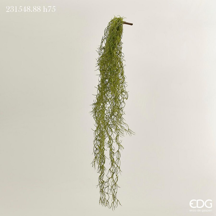 edg enzo de gasperi edg enzo de gasperi tillandsia west cadente h 75 cm pianta artificiale verde salvia ean 8056372380082