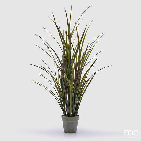 immagine-1-edg-enzo-de-gasperi-festuca-con-vaso-h-102-cm-colore-verde-ean-8059824367891