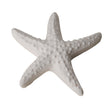etm etm gesso stella di mare bomboniera 4 cm bianco 12 pz ean 8056095527528