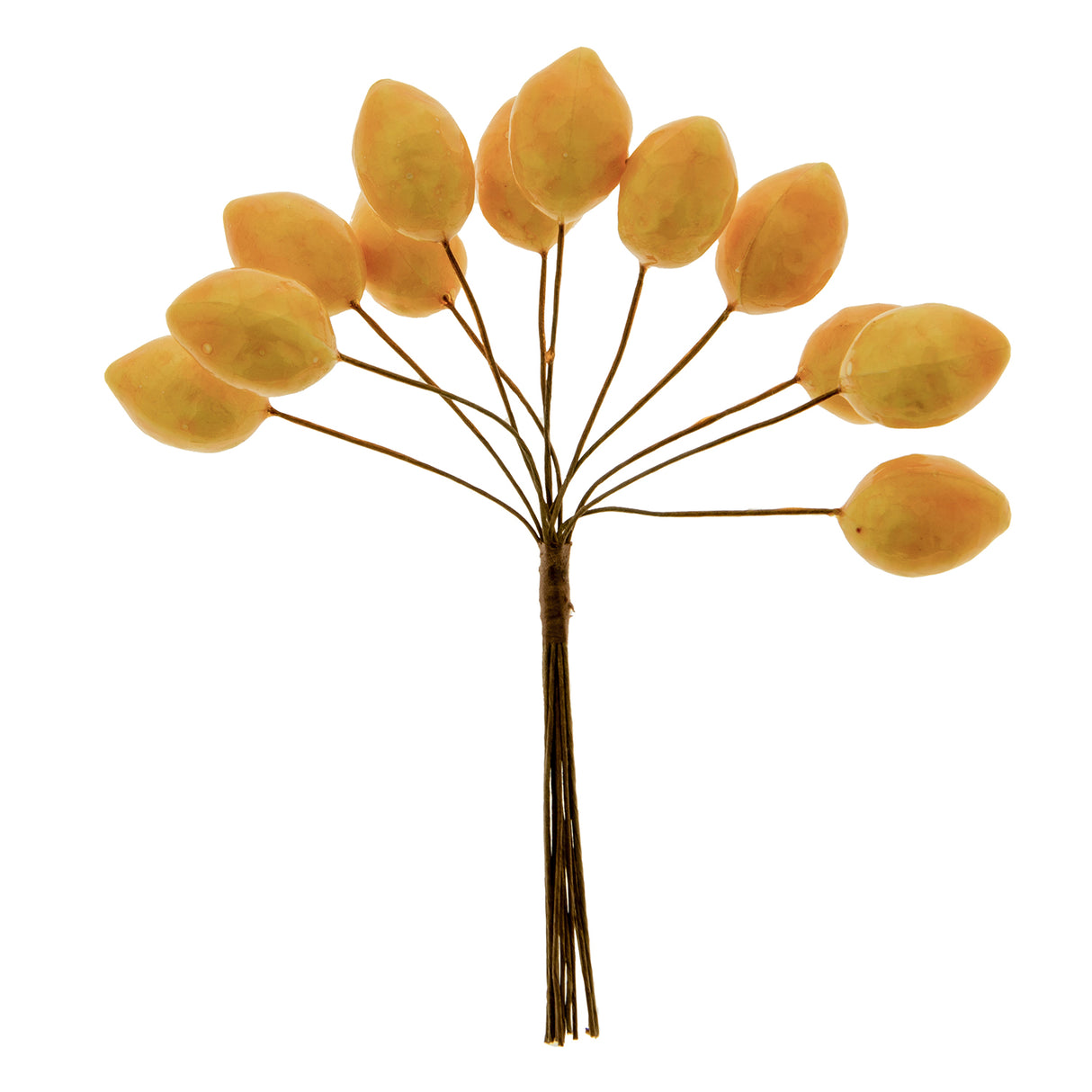 etm etm natura limone addobbo bomboniera 25 cm giallo 12 pz ean 8057500585256