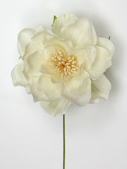 Linea Due Elle Peony Polyester D 7.5 Cm Ivory 6 Pcs