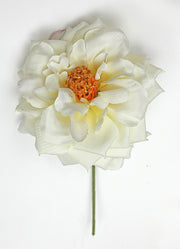 Linea Due Elle Rosa Spray D 11 Cm with Beige Stem 6 Pcs