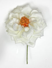 Linea Due Elle Rosa Spray D 11 Cm with White Stem 6 Pcs