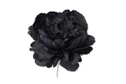 ARPIMEX Pick Peony Single Black