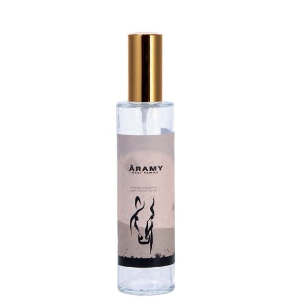 regalo italiano regalo italiano eau de toilette donna aramy 100 ml profumo femminile elegante e duraturo ean 8057586047686