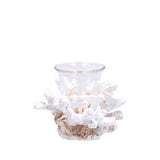regalo italiano regalo italiano portacandela tealight corallo ass 14 x 12 x 10 cm resina e vetro 1 pz ean 8057586183971