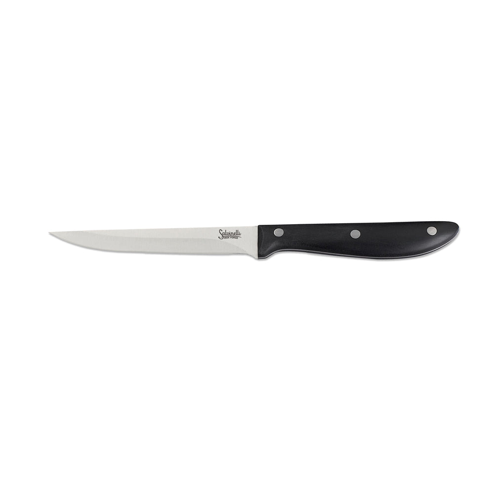 immagine-1-salvinelli-coltello-bistecca-modello-bistrot-filo-rasoio-115-mm-12-pz-ean-8008644054542