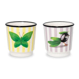 wd lifestyle wd lifestyle set 2 bicchierini caffe decoro farfalla e oliva ean 8055035684253