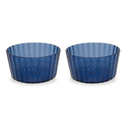 WD LifeStyle Set of 2 Acrylic Cups 490 ml Blue
