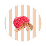 wd lifestyle wd lifestyle sottopentola in ceramica d 18 cm decoro paguro ean 8055035683614