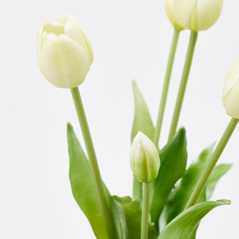 edg enzo de gasperi edg enzo de gasperi bouquet di 5 tulipani chiusi gomma olis h 40 cm champagne ean 8059824081681