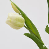 edg enzo de gasperi edg enzo de gasperi bouquete tulipano chiuso x4 h 40 cm con bocciolo bianco verde ean 8059824612885