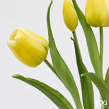 edg enzo de gasperi edg enzo de gasperi bouquete tulipano chiuso x4 h 40 cm con bocciolo giallo ean 8059824612946