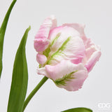 edg enzo de gasperi edg enzo de gasperi bouquete tulipano parrot x3 h 40 cm con bocciolo lilac ean 8059824612700