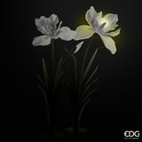 edg enzo de gasperi edg enzo de gasperi decoro iris jumbo led 12v 300w h 280 cm l 160 cm h 250 cm l 140 cm bianco ean 8059824641113