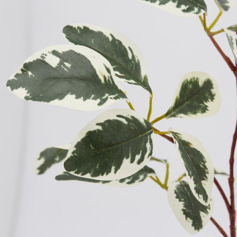 edg enzo de gasperi edg enzo de gasperi ficus benjiamin rex ass h 73 cm pianta artificiale bianco verde 1 pz ean 8059824231628