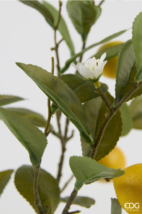 edg enzo de gasperi edg enzo de gasperi limone con vaso e foglie x6 pianta artificiale h 60 cm verde giallo ean 8059824634832