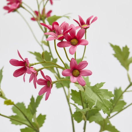 edg enzo de gasperi edg enzo de gasperi margherita ramo h 70 cm pianta artificiale fuchsia ean 8059824483881