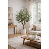 edg enzo de gasperi edg enzo de gasperi olivo con vaso h 230 cm pianta artificiale verde ean 8059824607492