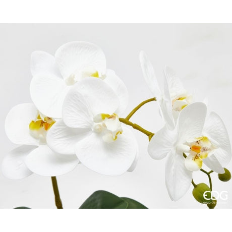 edg enzo de gasperi edg enzo de gasperi orchidea phalaenopsis con vaso e foglie h 40 cm pianta artificiale bianco ean 8059824513533
