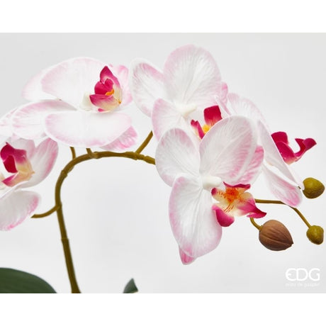 edg enzo de gasperi edg enzo de gasperi orchidea phalaenopsis con vaso e foglie h 40 cm pianta artificiale rosa chiaro ean 8059824513557