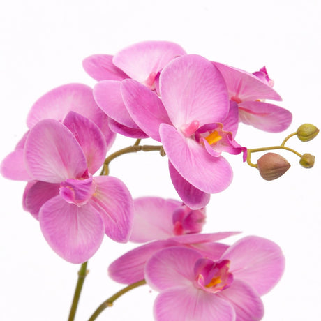 edg enzo de gasperi edg enzo de gasperi orchidea phalaenopsis con vaso e foglie h 50 cm pianta artificiale fuchsia ean 8059824513632
