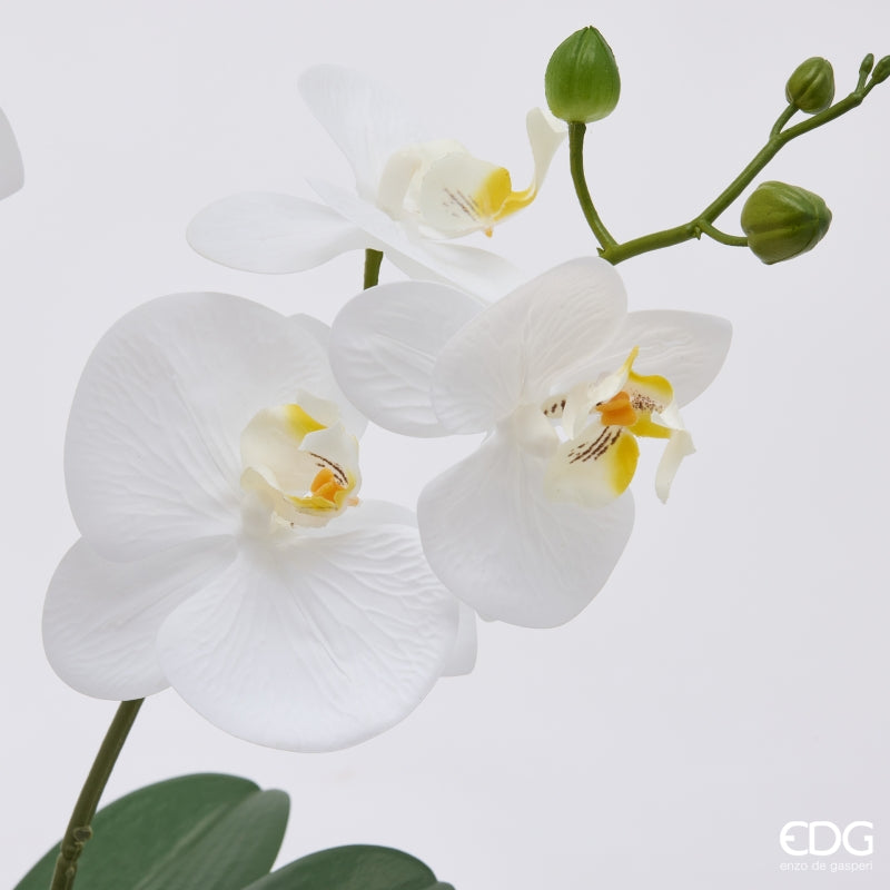 edg enzo de gasperi edg enzo de gasperi orchidea phalaenopsis x2 con bocciolo e vaso pianta artificiale h 60 cm bianco ean 8059824669919