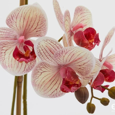 edg enzo de gasperi edg enzo de gasperi orchidea phalaenopsis x2 con foglie e vaso h 51 cm pianta artificiale bianco rosa ean 8059824513731