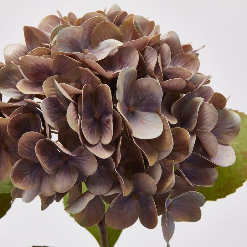 edg enzo de gasperi edg enzo de gasperi ortensia real touch con foglie ass h 60 cm rosa antico 1 pz ean 8059824379931